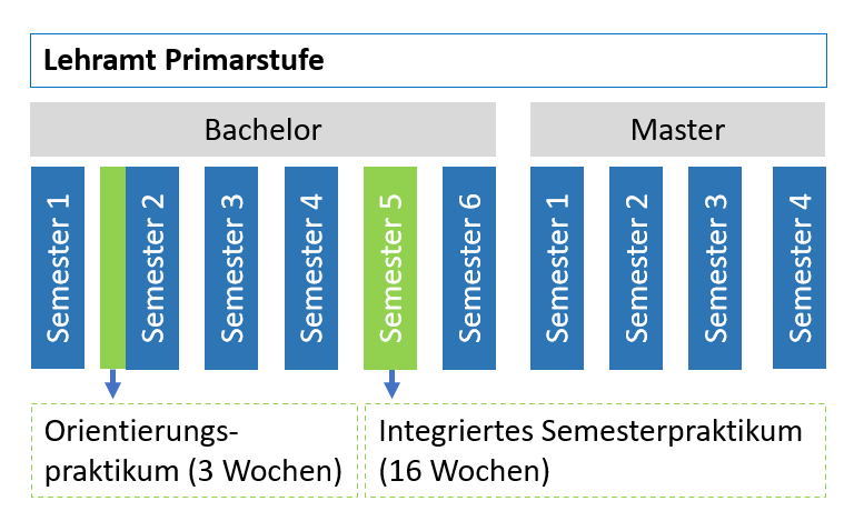 Praxisphasen